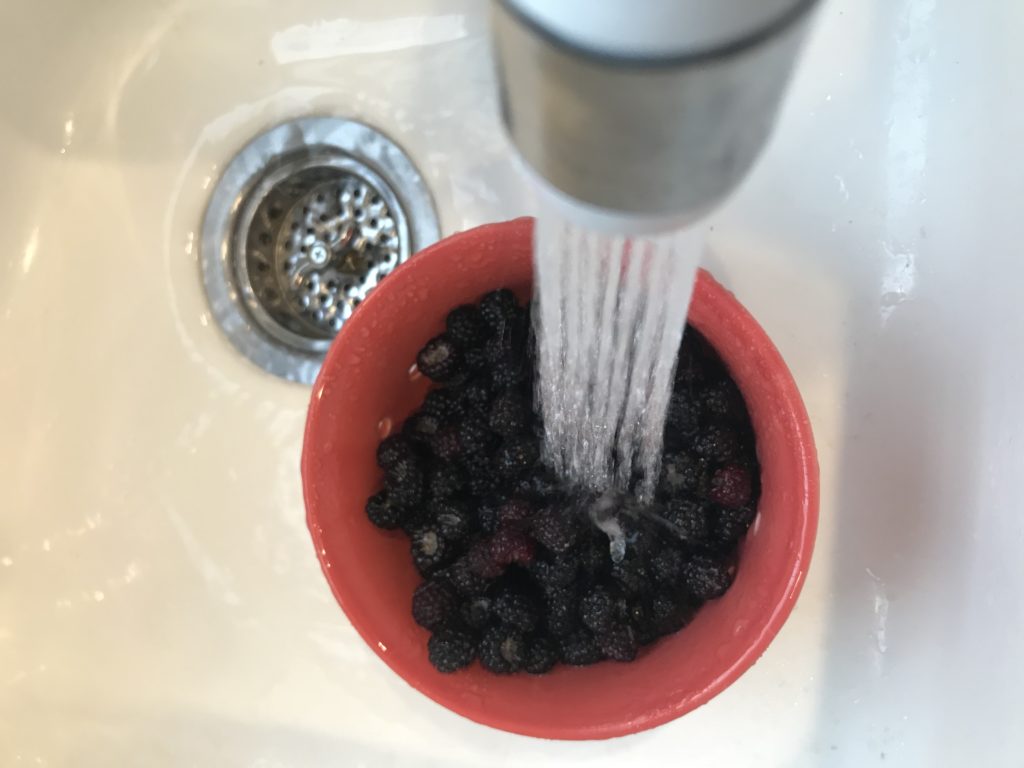 washing berries in the sink