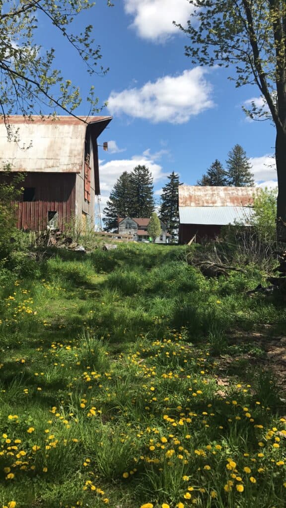 View of a Homestead and it's old buildings