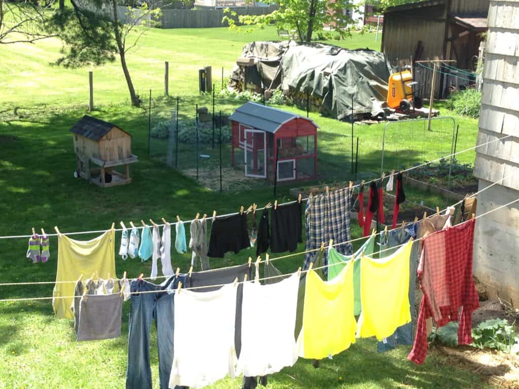 Suburban backyard and a mini homestead with line dried clothes, chicken coop and raised bed garden